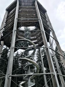 36900456_10212307773553086_4763898929253187584_n