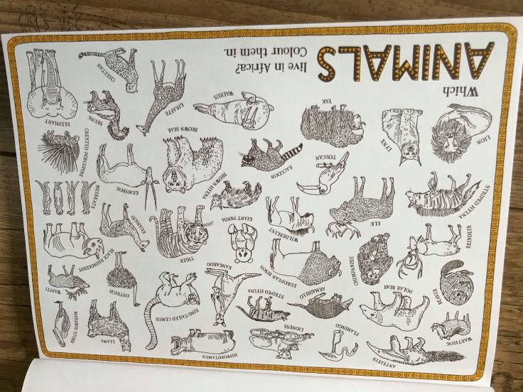 28795561_10211512517232175_1411863012708450304_o