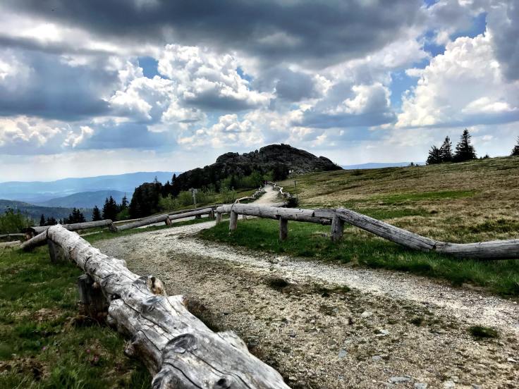 32488087_10211971177458394_4821585618553274368_n