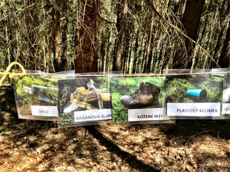 36959401_10212314495881140_2642298180108025856_n