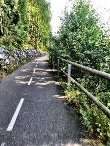 37232345_10212353550657485_4782042374350045184_n