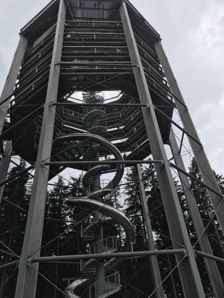 37310925_10212353650859990_5007645809429184512_n