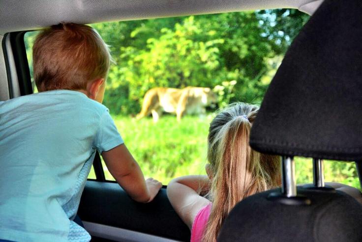 38614596_1602733359838454_2086503341554139136_n