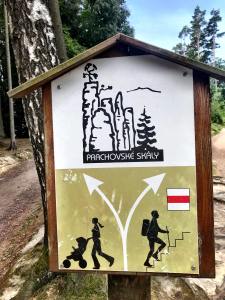 39229192_295437937882018_6250720752048275456_n