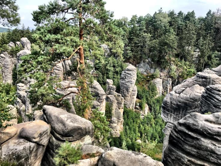 39242253_1074628686017560_1847168758590734336_n