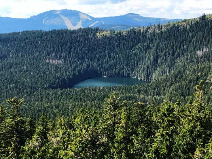 AE5A7137-A24D-44EA-B9B1-6A7A0BC16E2F