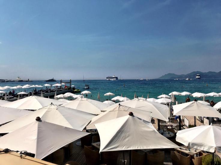 40592931_281991675860956_1937091131657420800_n