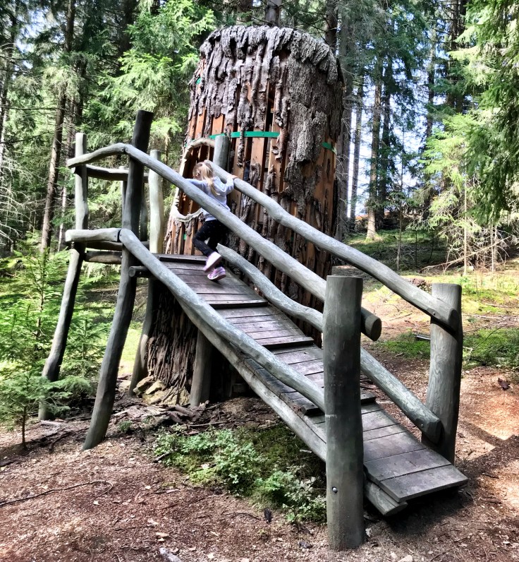 50F255B1-04CD-43E0-B1F7-425F8E97C953