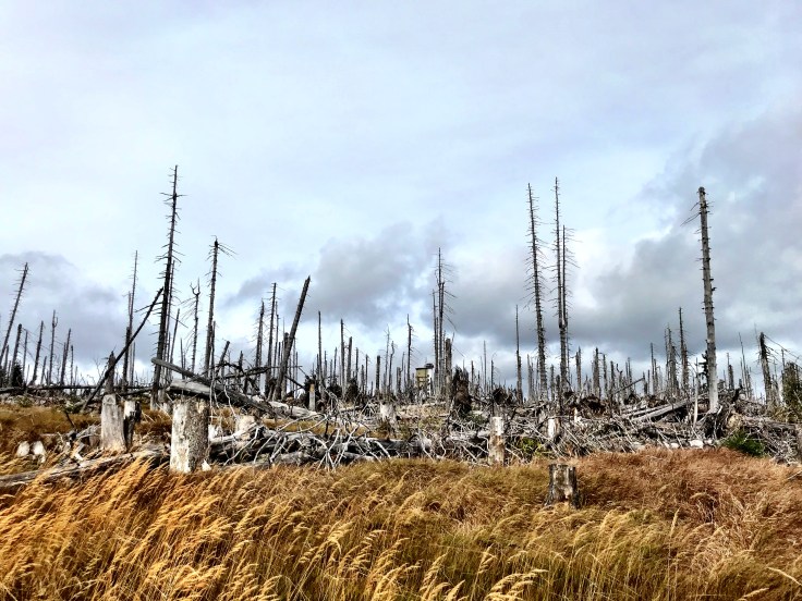 527649F8-F745-4917-B89F-75C815D68520