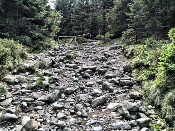 931733E9-A29B-4B0B-9E04-AFF2E889CBA3