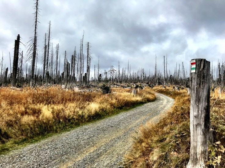 96F987F8-2237-4062-B3C7-323DEB89D0CA