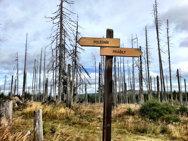 A14B16E5-3647-4149-8500-B82FC04840FC