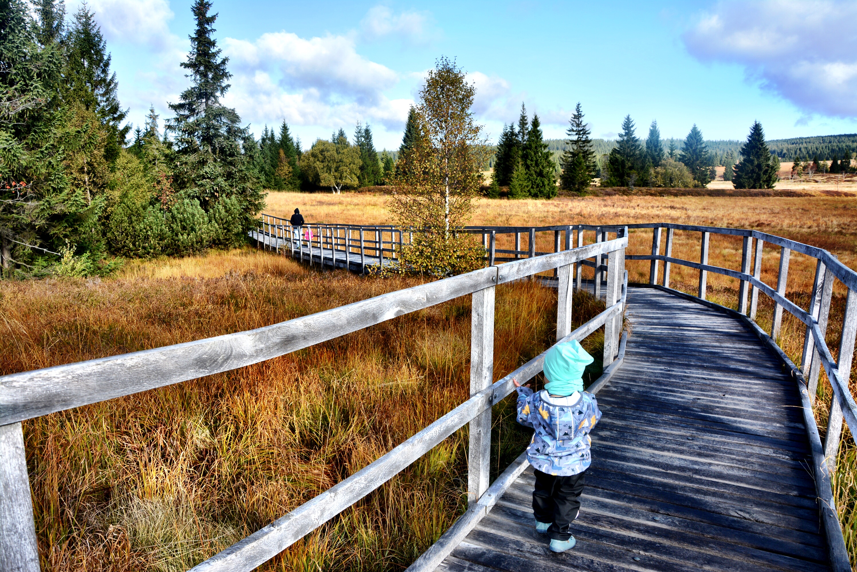 1F14D175-526B-4ABA-B60A-0DA4CF15F188