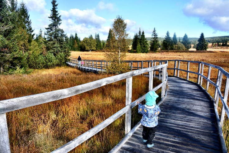 1F14D175-526B-4ABA-B60A-0DA4CF15F188