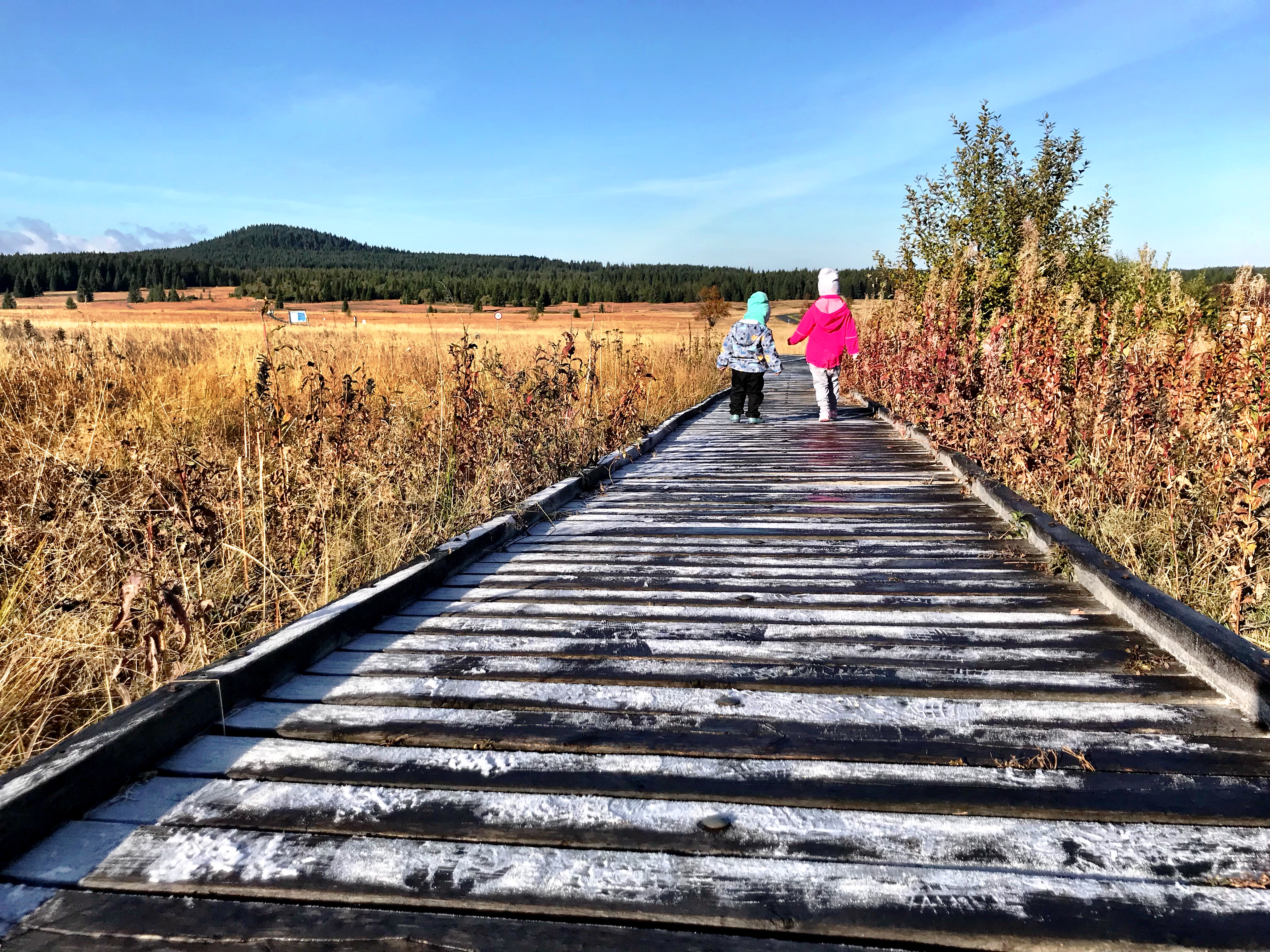 3393D2F0-6502-4304-8015-F4481343611B