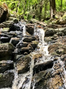 4BC23B7B-8835-4C66-AF82-687669C69D0E