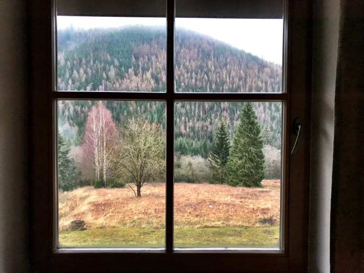 A341E4DF-5E56-4099-8D5A-088A851BC953