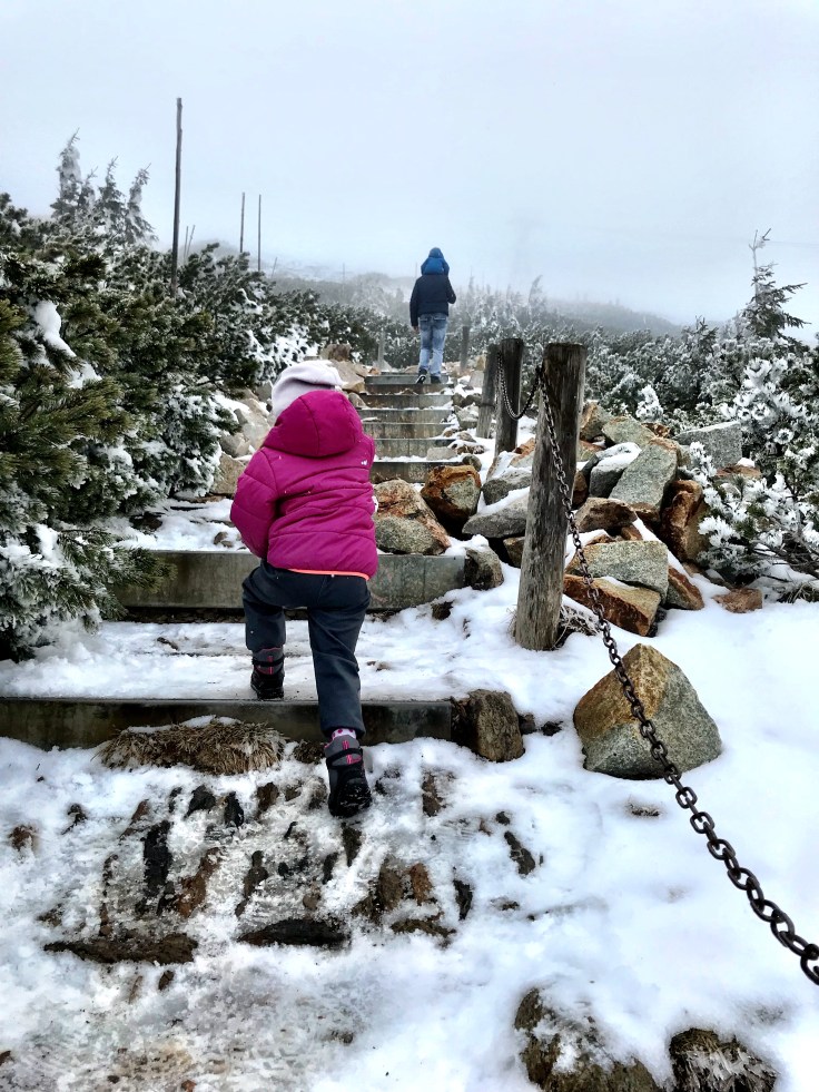 FD285AAF-ABE9-4C17-979B-67A55BAFBCB0