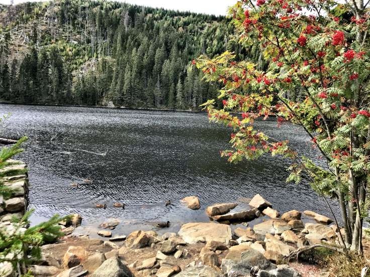 prášilské jezero.jpg