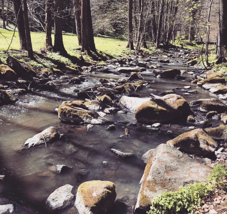 047F0885-B2DE-4815-B7A7-C1D5C9636BFD