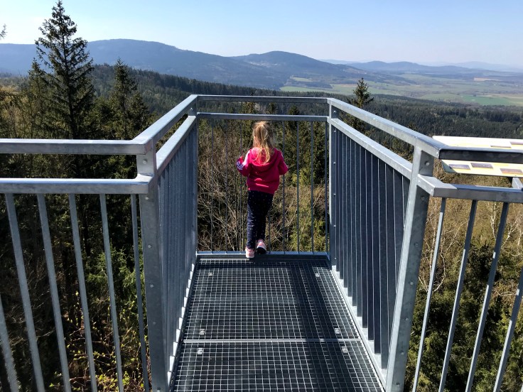 2B825005-1D1B-461D-B563-81F724911E7F