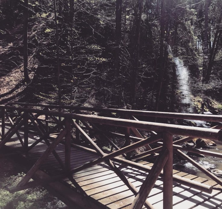 D758B903-9571-491E-A262-F16F49563B67