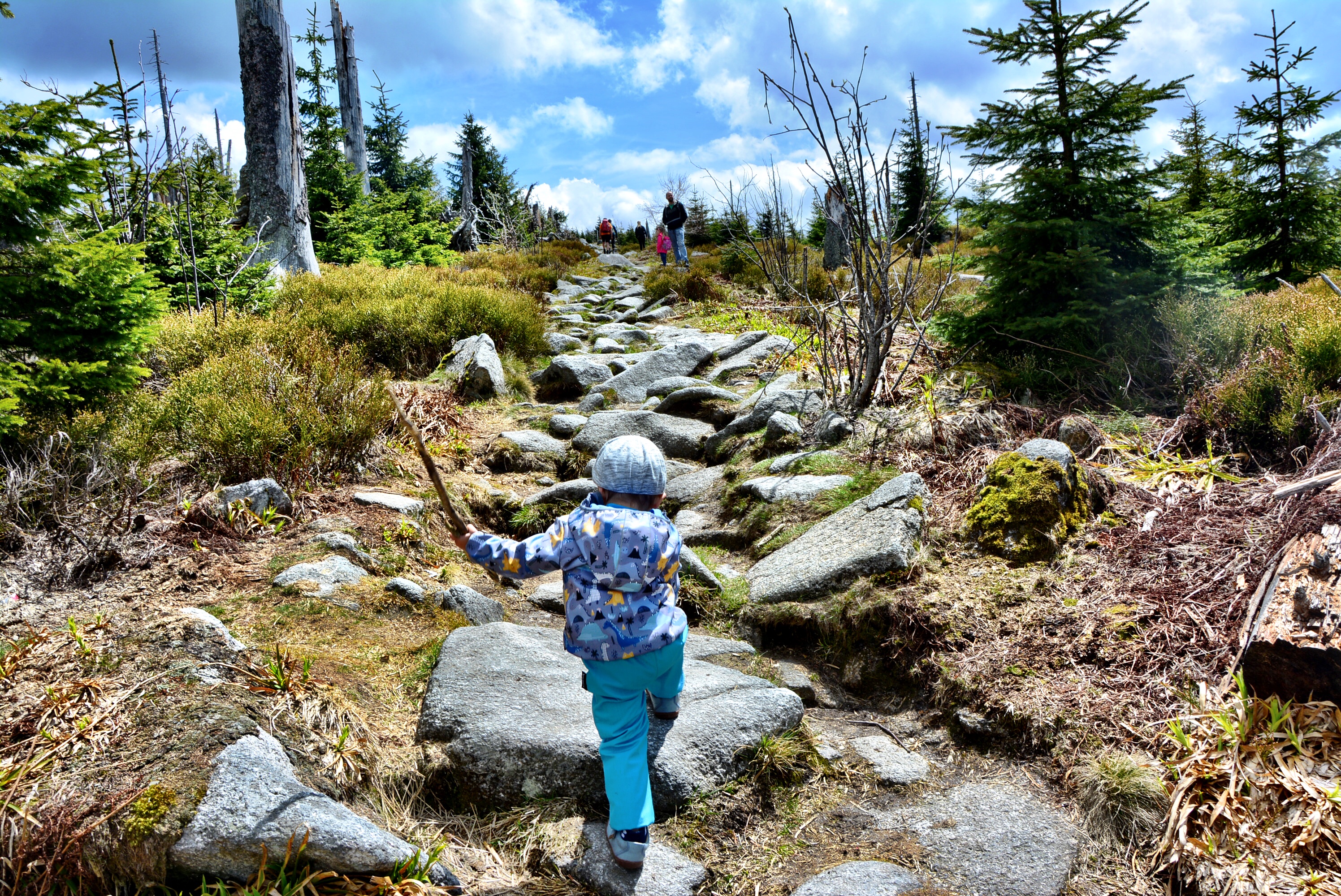 4E9A897D-6D0E-483B-B983-125CAA72499D