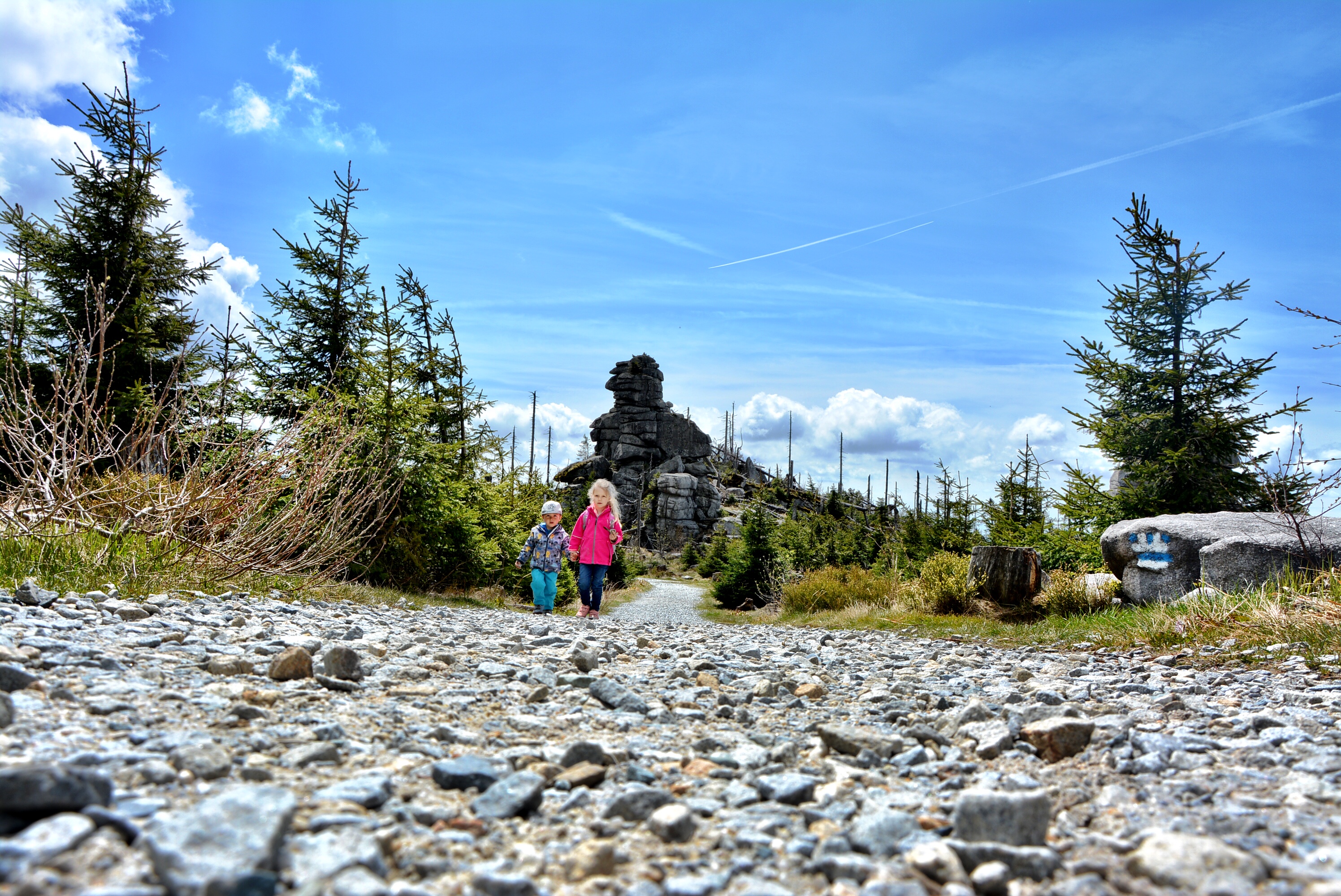 84083B98-A407-4295-B6C6-9C3318367832