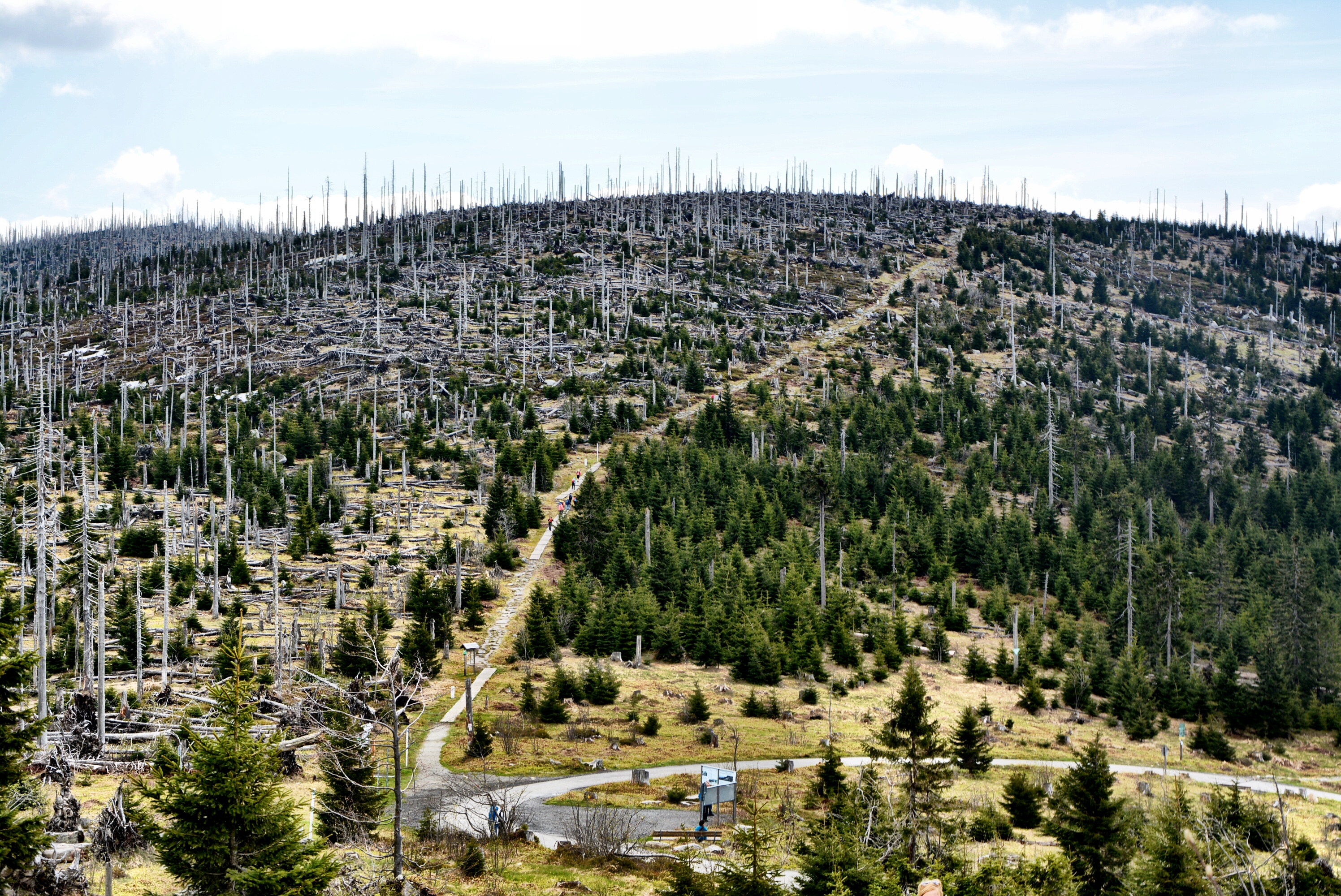 93486A04-89FA-49CB-A5D0-CA81882E8C0C