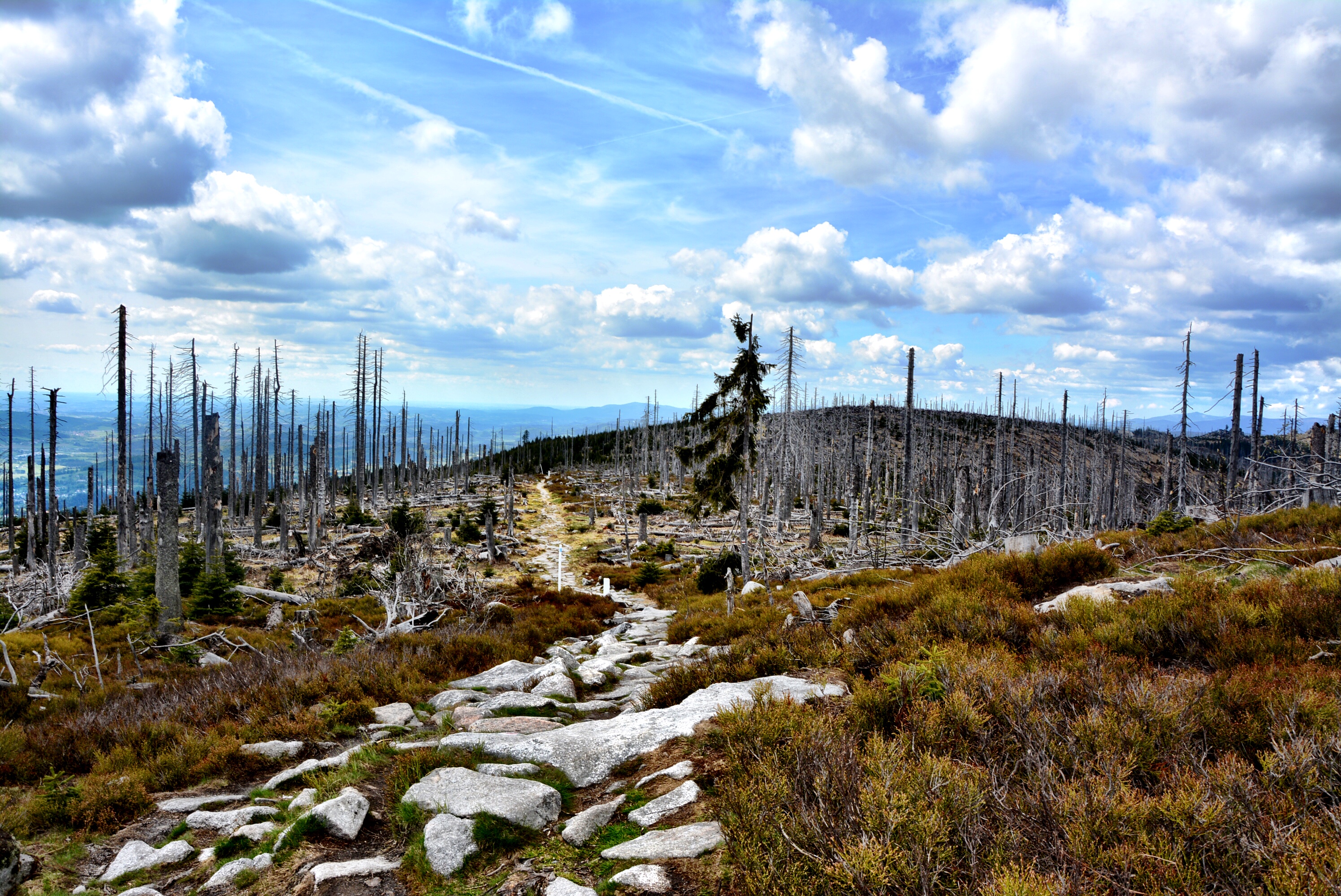 FADBA3BC-23D7-4C1F-98D6-B576AF183C50