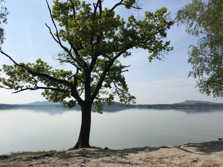 5108E06A-7C68-43A8-A5D2-F1359DBAB0FF