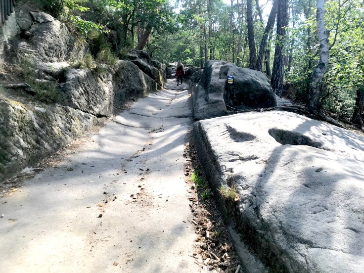 BCBA8F80-9F86-4ACC-9C82-18B1B77C6E1A