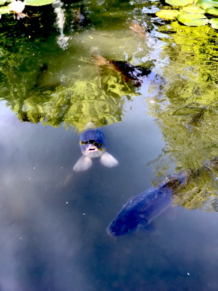 10D3498D-27E0-4D19-A455-45E86DEB87BA