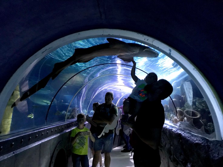 23BCF272-B2D9-4DCF-8BEB-63B87DA366CF