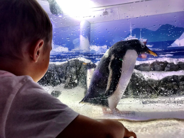 402B8020-4D76-4089-A4A0-C9CB7900994E