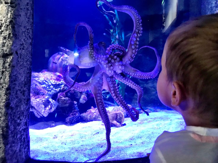 707769F7-5F41-49B2-942E-021CDCAE6715