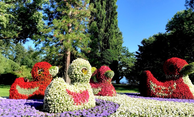 C5B089FD-AC37-463A-98C7-24250C7CF44A