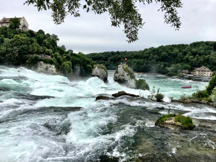 C8D659C5-17CF-448F-B4FD-5144FF78A29B