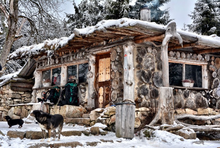 04114256-CB3D-46F4-B144-BC1BCFB26BE1